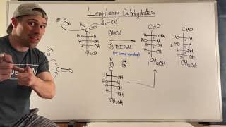 Lengthening Carbohydrate Chains with HCN