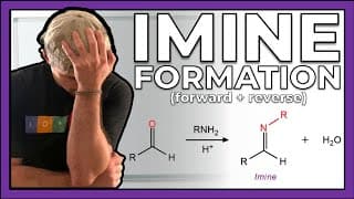Imine Formation (Forward and Reverse Directions)