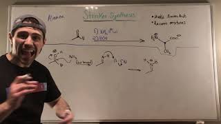 The Strecker Synthesis Another Way to Make Amino Acids