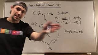 Isoelectric pH & Seeing How Amino Acids Look at Various pHs