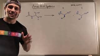 Amino Acid Synthesis by Leverage the Gabriel Synthesis