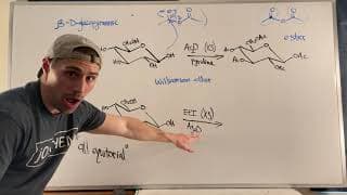 Ether and Ester Formation with Carbohydrates