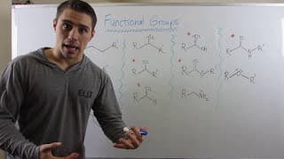 Fun with Functional Groups--an Overview
