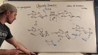 Making and Naming Glycosides