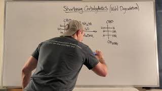 Shortening Carbohydrates with the Wohl Degradation