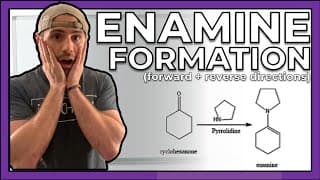 Enamine Formation (Forward and Reverse Directions)