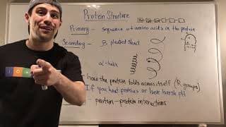 Protein Structure Explained